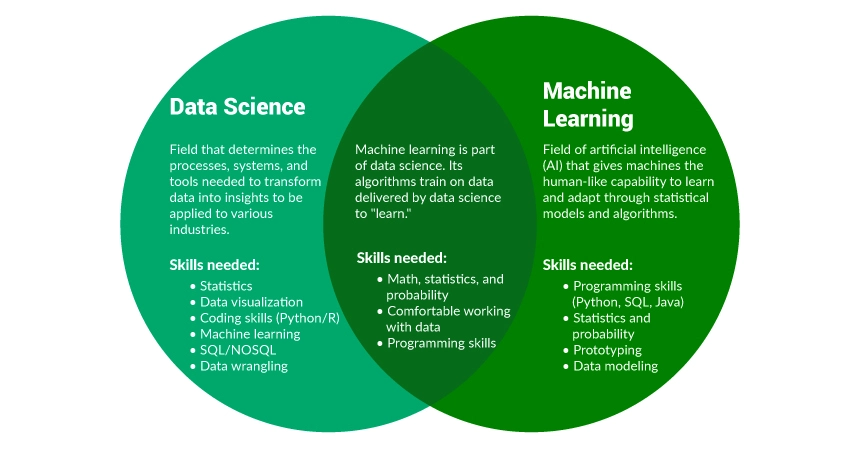 Data Science Vs. Machine Learning: What's The Difference